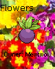 adptbl-flowers.png