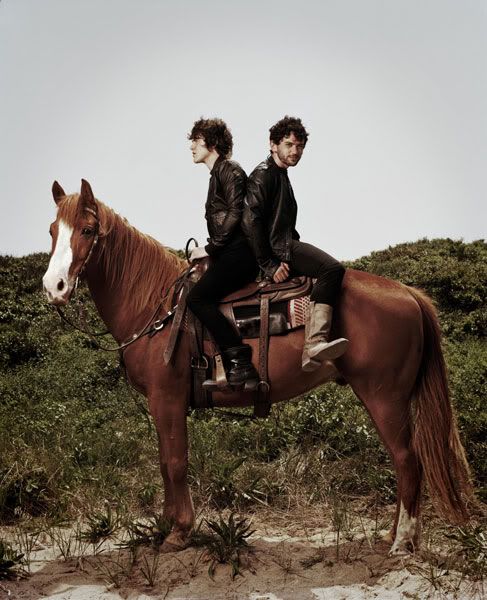 MGMT,horse,Sony,electronic,psychedelic
