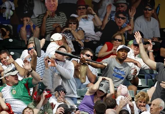 Fan Catches Bat