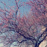  photo IMG_20160321_191907_zpsq1owlbi9.jpg