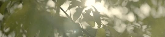  photo tumblr_nwv415IMxm1ugbqo0o5_540_zpsiokg9tfc.gif