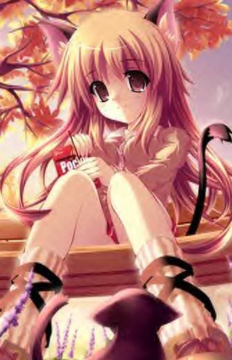picture