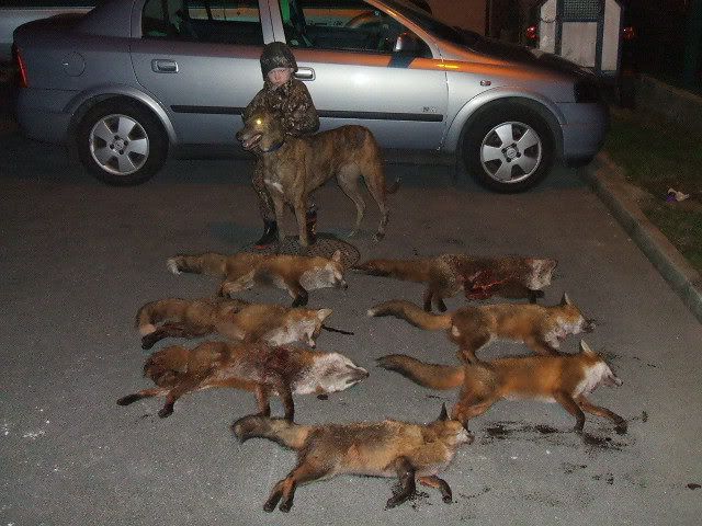 7foxs003.jpg