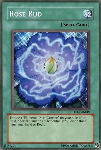EN049RoseBud.jpg