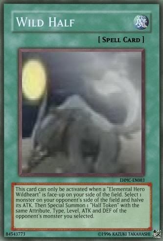 EN083WildHalf.jpg