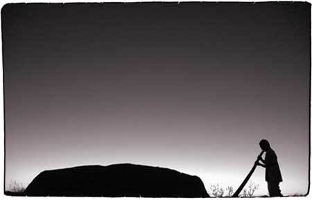 Goma in Austraria photo by BUNTARO KATO