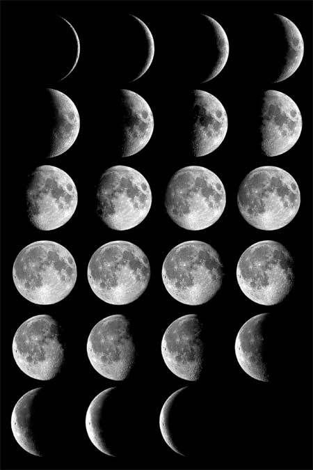 Daily Moon Phases Free Modules 礱