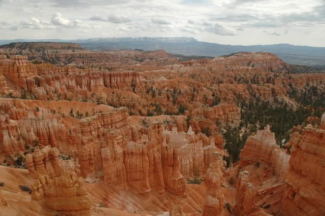 Immagine ridimensionata: clicca sull'immagine per vederla con le dimensioni originali.