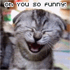 yousofunny.gif Funny animal! image by Pirate_gals26