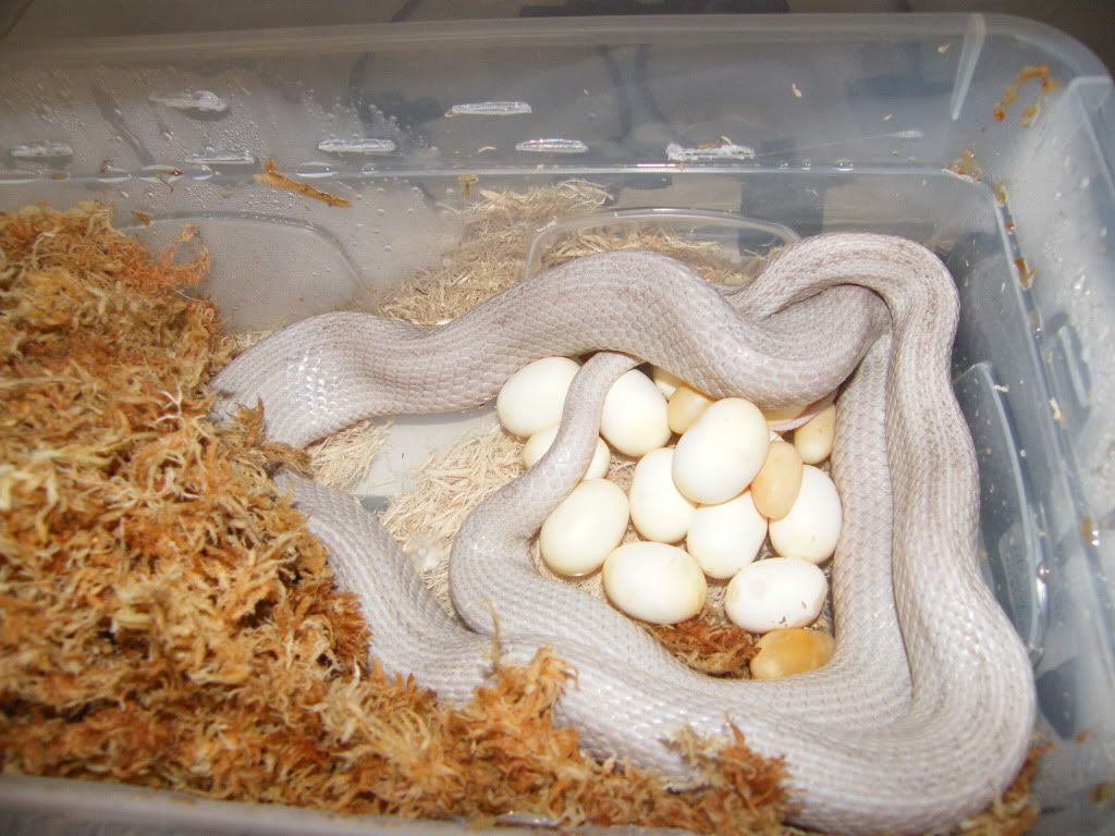 DSCF5962.jpg