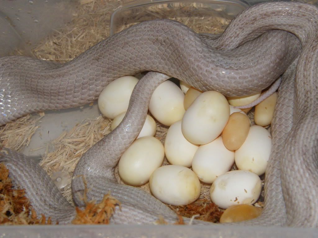 DSCF5963.jpg