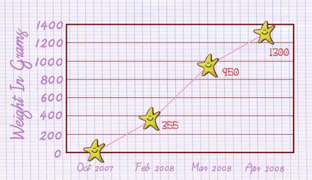 Sarah's Weight Progression