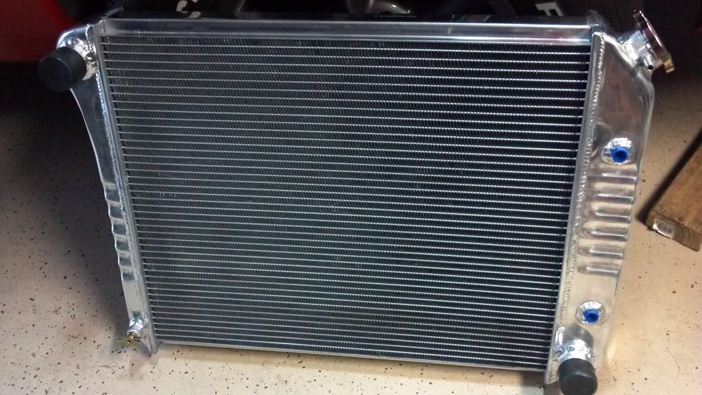 Budget Radiator Review