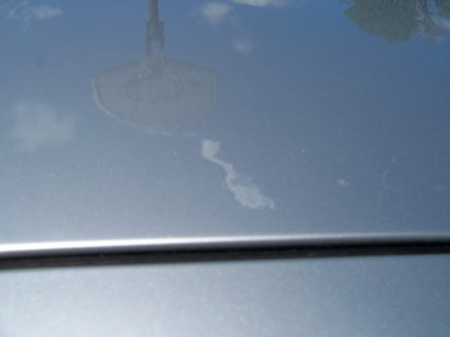 100_0636.jpg