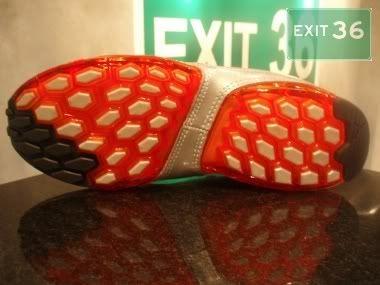 100_P1010005-4.jpg picture by exit36