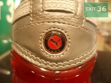 100_P1010012-3.jpg picture by exit36