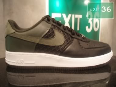 100_P1010072-4.jpg picture by exit36