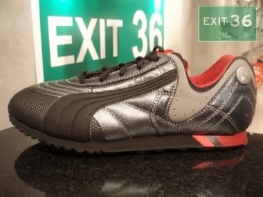 100_P1010075-4.jpg picture by exit36