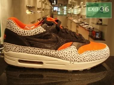 100_P1010109-1.jpg picture by exit36