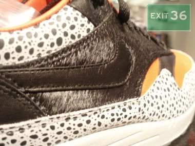 100_P1010110-2.jpg picture by exit36