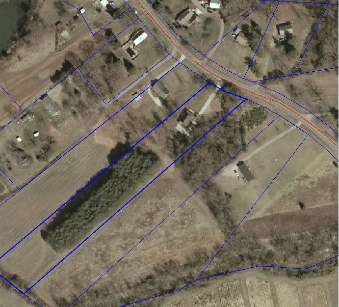 Arial Pic of homestead, what would you do with the 500 white pines? - Homesteading Questions