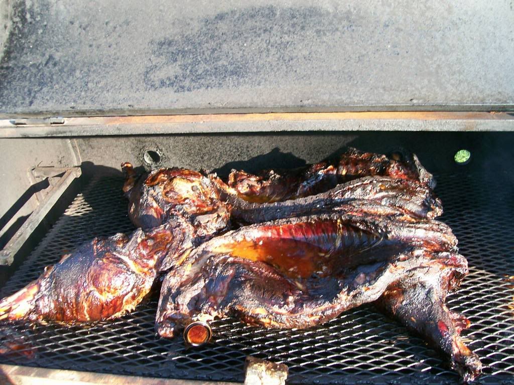 Look what happened to my pig! - Homesteading Questions