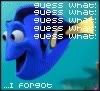 Dory Pictures, Images and Photos