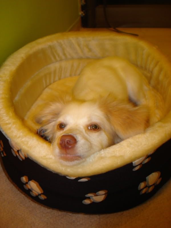 http://i174.photobucket.com/albums/w93/Prince_Philip/Dsc04450.jpg