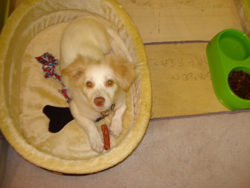 http://i174.photobucket.com/albums/w93/Prince_Philip/Dsc04452.jpg