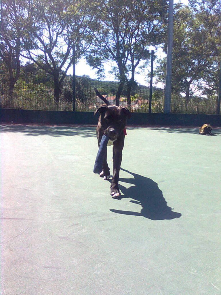 Imagem