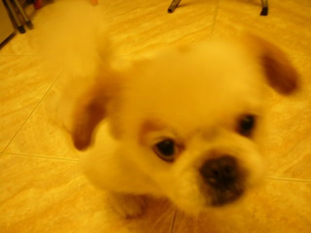 ͼƬ��������´��ڴ򿪲鿴