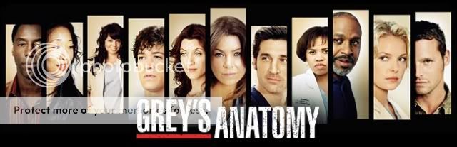 Grey's Anatomy Season 3 Finale, "Didn't We Almost Have It All"