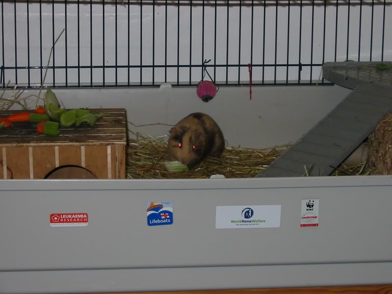 111-1122_IMG.jpg