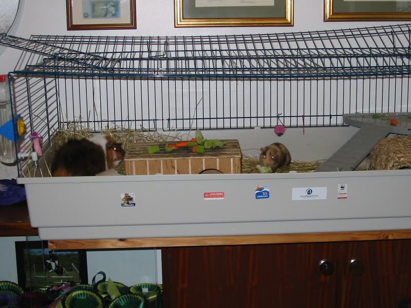 111-1123_IMG.jpg