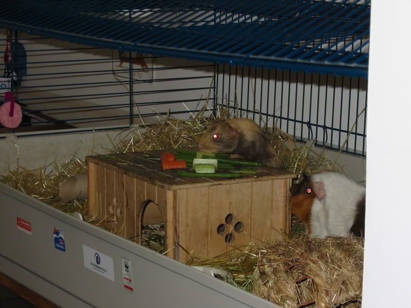 111-1124_IMG.jpg