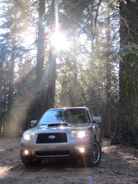 pip's 2006 forester xt rally wagon